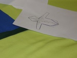 p4168886.jpg