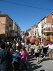 img_8462.jpg