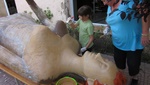 aa_009.jpg