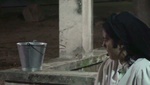 puera3.jpg