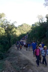 img_8918.jpg