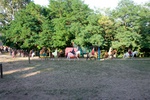 img_2908.jpg
