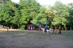 img_2958.jpg