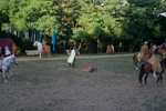img_2997.jpg