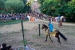 img_3026.jpg