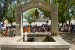 img_8384.jpg
