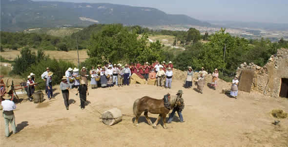 Preparaci&oacute; de lera